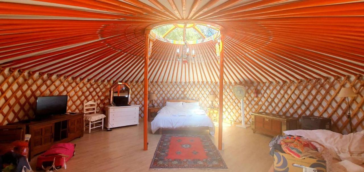 Eldorado Yurt Tenda de luxe Algarrobo